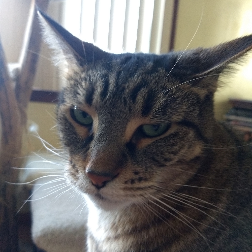 100k THANK YOU FRIENDS - Picture 9 of 14